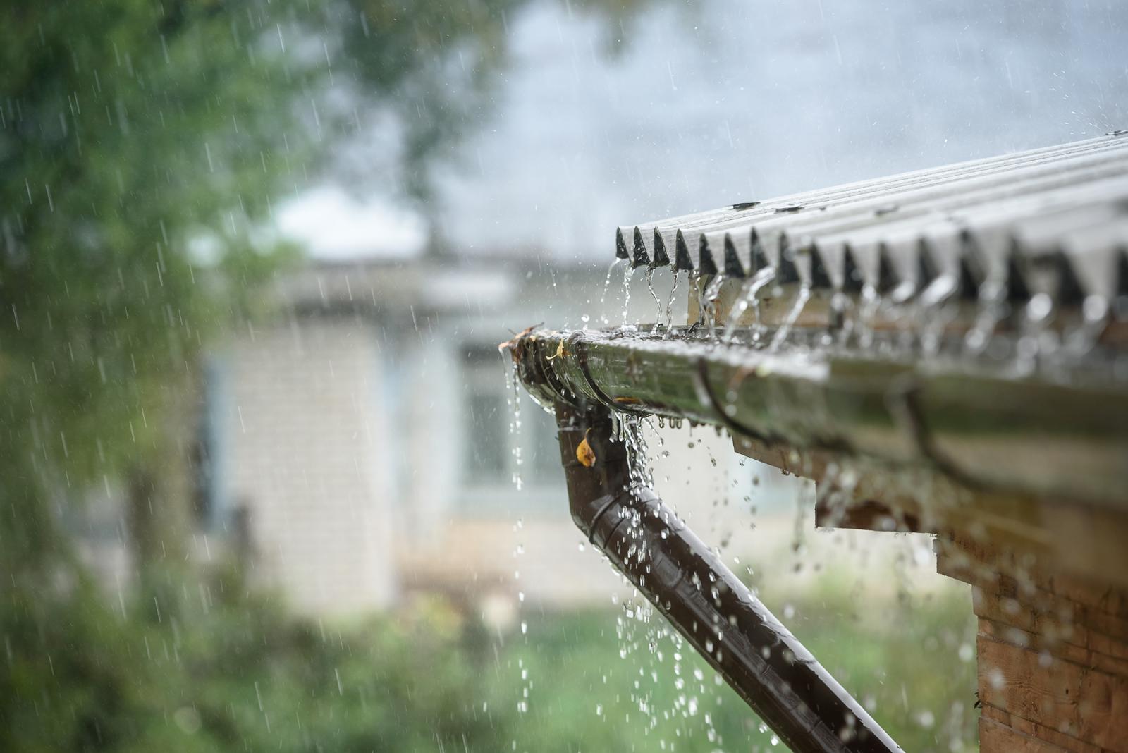 Dažďová  voda môže znížiť náklady na závlahu záhrady. Ako vybrať  vhodné čerpadlo?