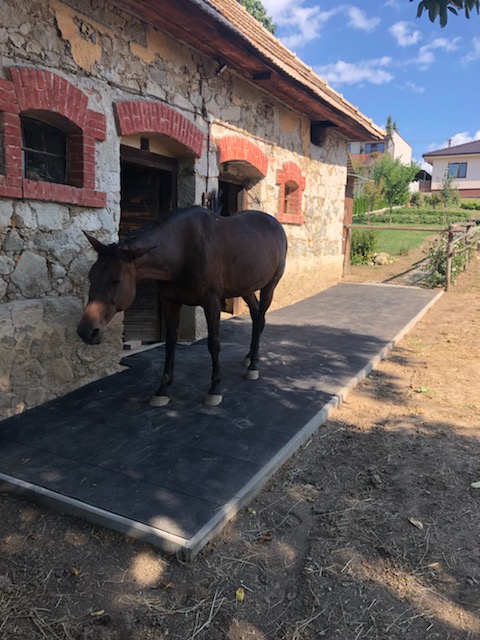 Gumená podlaha, gumovepovrchy.sk