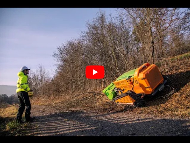 greenclimber---cistenie-a-mulcovanie-pozemkov---stiepkovanie-a-frezovanie-kmenov-ci-drevin